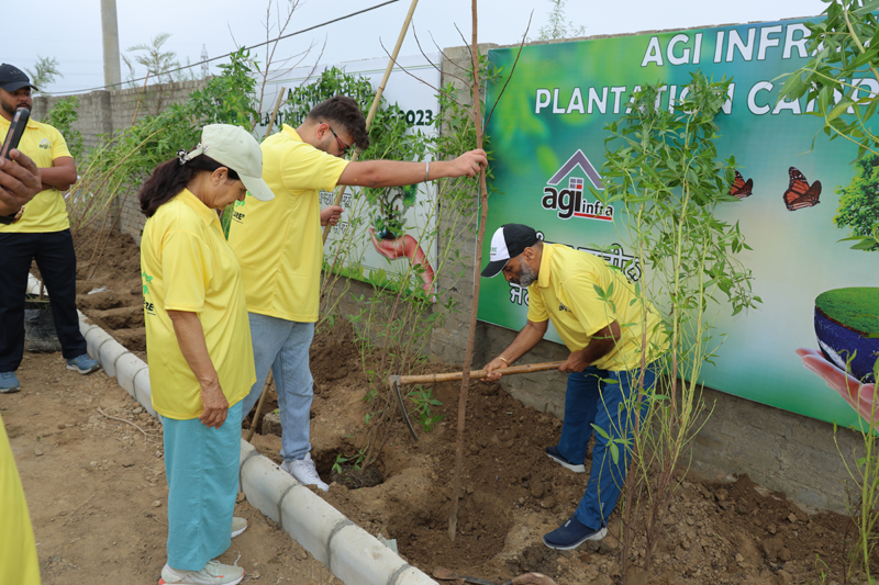 Agi Plantation Campaign